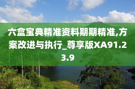 六盒宝典精准资料期期精准,方案改进与执行_尊享版XA91.23.9