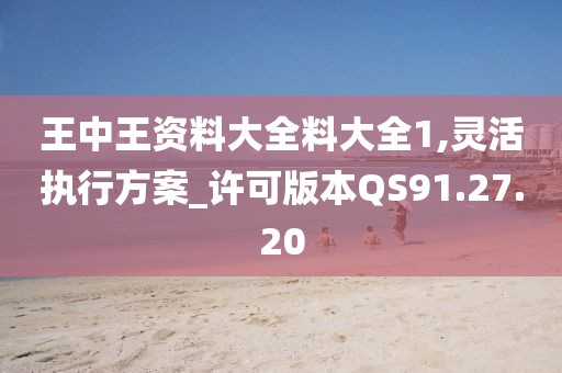 王中王资料大全料大全1,灵活执行方案_许可版本QS91.27.20