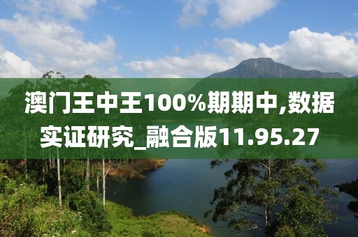 澳门王中王100%期期中,数据实证研究_融合版11.95.27