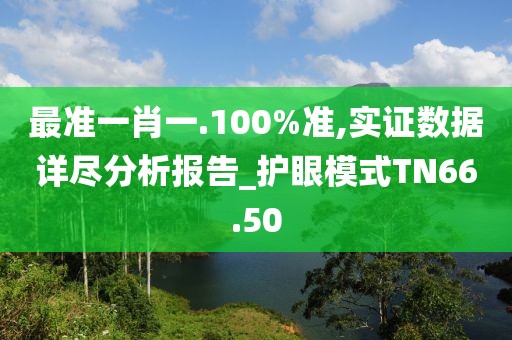 最准一肖一.100%准,实证数据详尽分析报告_护眼模式TN66.50
