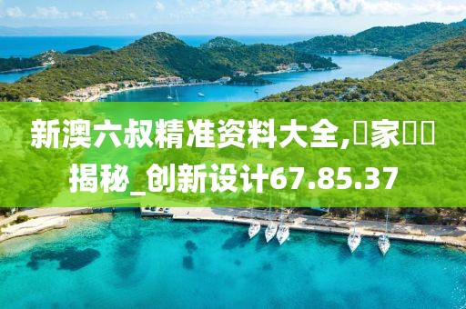 新澳六叔精准资料大全,專家評論揭秘_创新设计67.85.37