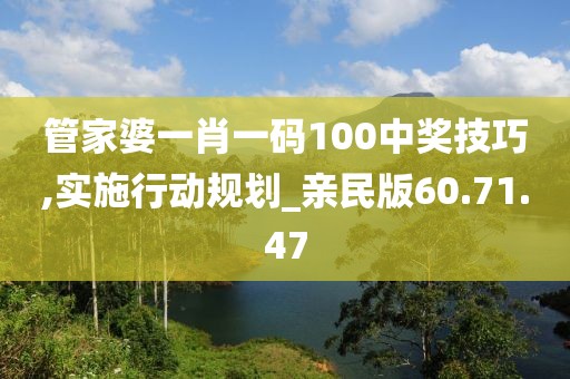 管家婆一肖一码100中奖技巧,实施行动规划_亲民版60.71.47
