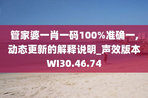 管家婆一肖一码100%准确一,动态更新的解释说明_声效版本WI30.46.74