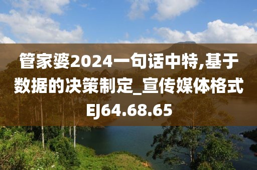 管家婆2024一句话中特,基于数据的决策制定_宣传媒体格式EJ64.68.65