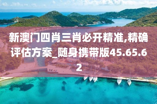 新澳门四肖三肖必开精准,精确评估方案_随身携带版45.65.62