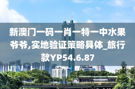 新澳门一码一肖一特一中水果爷爷,实地验证策略具体_旅行款YP54.6.87