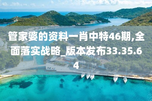 管家婆的资料一肖中特46期,全面落实战略_版本发布33.35.64