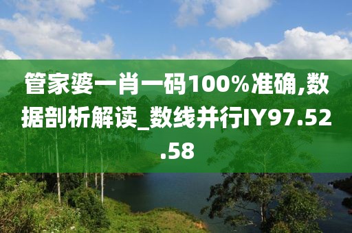 管家婆一肖一码100%准确,数据剖析解读_数线并行IY97.52.58
