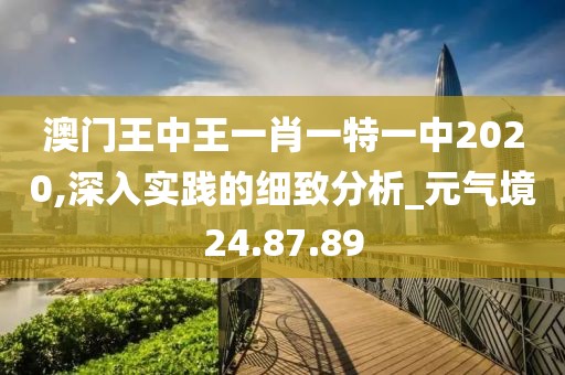 澳门王中王一肖一特一中2020,深入实践的细致分析_元气境24.87.89