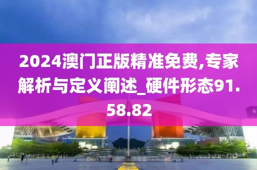 2024澳门正版精准免费,专家解析与定义阐述_硬件形态91.58.82