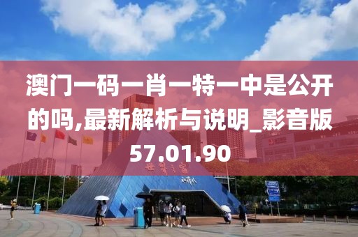 澳门一码一肖一特一中是公开的吗,最新解析与说明_影音版57.01.90