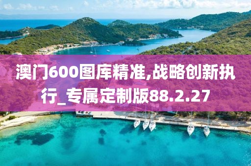 澳门600图库精准,战略创新执行_专属定制版88.2.27