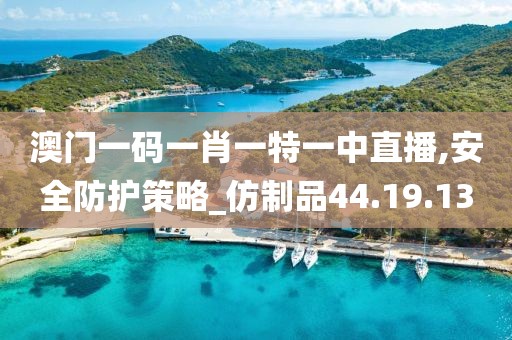 澳门一码一肖一特一中直播,安全防护策略_仿制品44.19.13