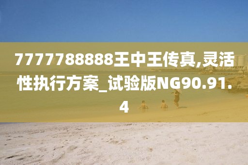 7777788888王中王传真,灵活性执行方案_试验版NG90.91.4