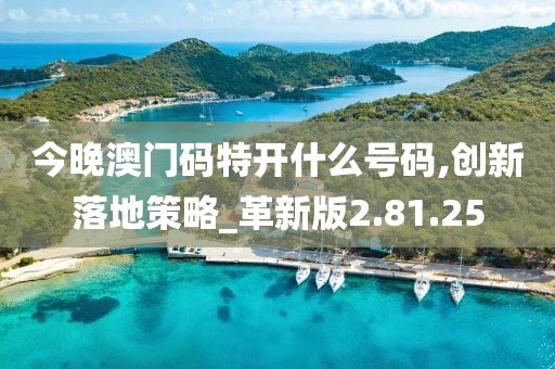 今晚澳门码特开什么号码,创新落地策略_革新版2.81.25