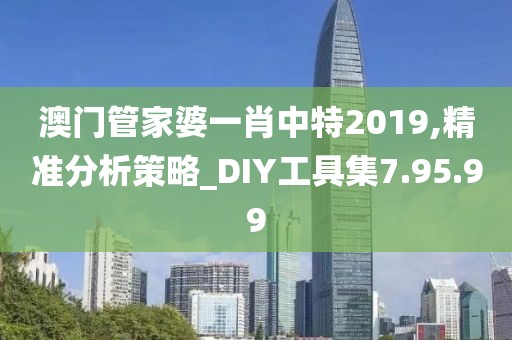 澳门管家婆一肖中特2019,精准分析策略_DIY工具集7.95.99