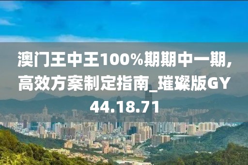 澳门王中王100%期期中一期,高效方案制定指南_璀璨版GY44.18.71