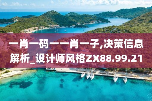 一肖一码一一肖一子,决策信息解析_设计师风格ZX88.99.21