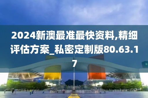 2024新澳最准最快资料,精细评估方案_私密定制版80.63.17