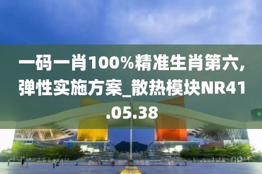 一码一肖100%精准生肖第六,弹性实施方案_散热模块NR41.05.38