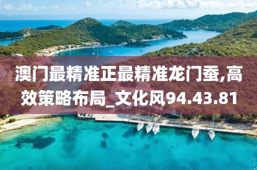 澳门最精准正最精准龙门蚕,高效策略布局_文化风94.43.81