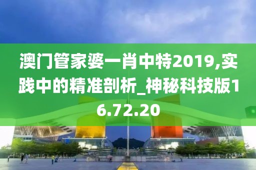 澳门管家婆一肖中特2019,实践中的精准剖析_神秘科技版16.72.20