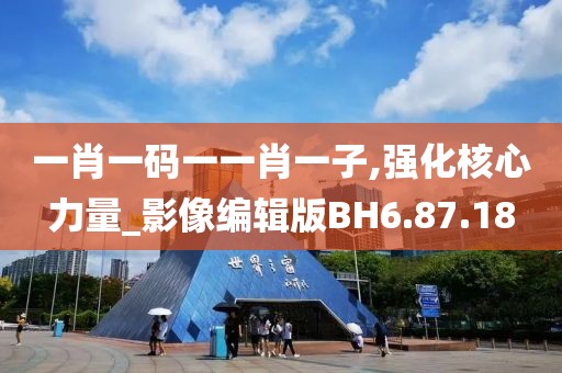 一肖一码一一肖一子,强化核心力量_影像编辑版BH6.87.18