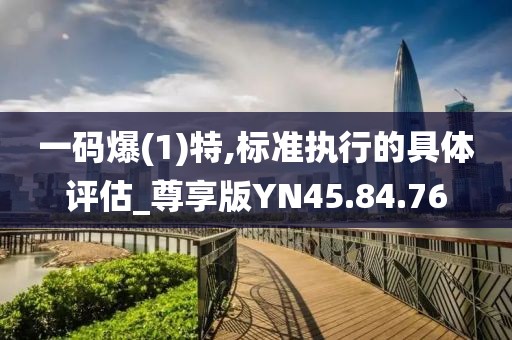 一码爆(1)特,标准执行的具体评估_尊享版YN45.84.76
