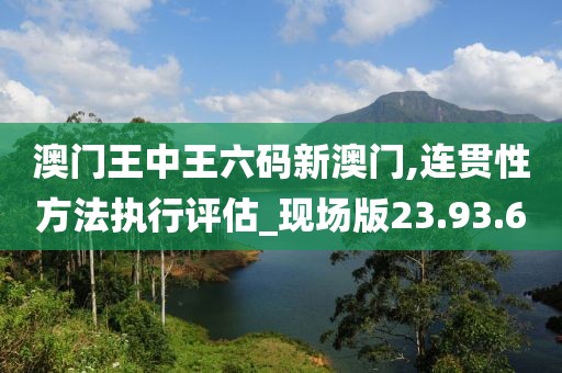 澳门王中王六码新澳门,连贯性方法执行评估_现场版23.93.6
