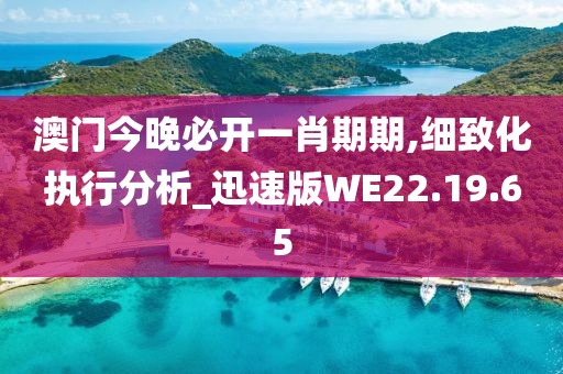 澳门今晚必开一肖期期,细致化执行分析_迅速版WE22.19.65
