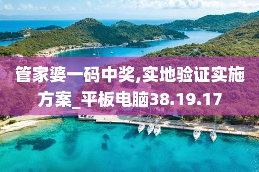 管家婆一码中奖,实地验证实施方案_平板电脑38.19.17