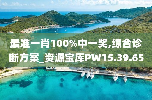 最准一肖100%中一奖,综合诊断方案_资源宝库PW15.39.65