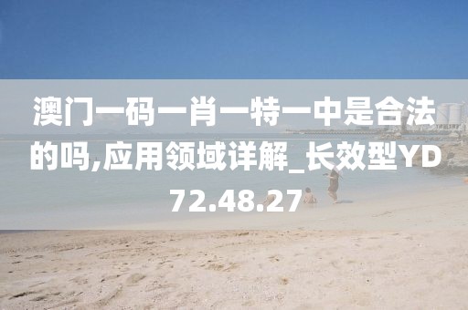 澳门一码一肖一特一中是合法的吗,应用领域详解_长效型YD72.48.27