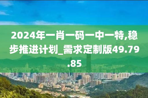 2024年一肖一码一中一特,稳步推进计划_需求定制版49.79.85