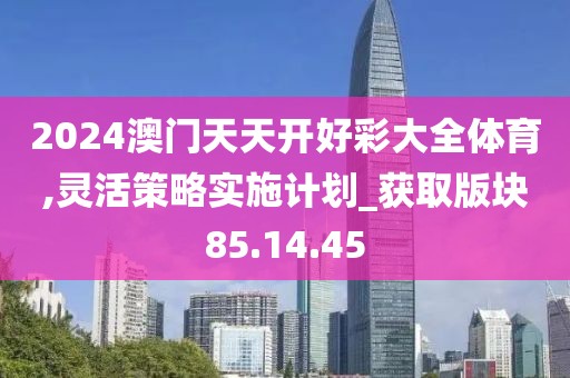 2024澳门天天开好彩大全体育,灵活策略实施计划_获取版块85.14.45