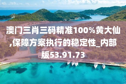 澳门三肖三码精准100%黄大仙,保障方案执行的稳定性_内部版53.91.73