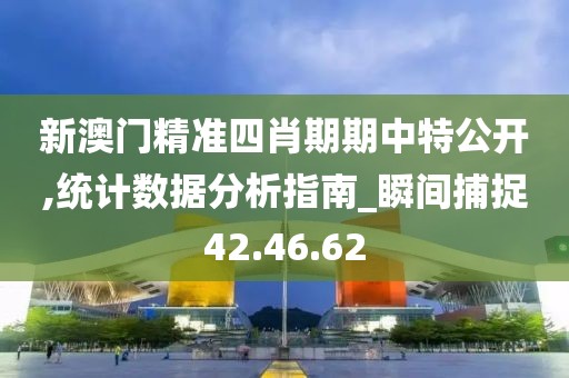 新澳门精准四肖期期中特公开,统计数据分析指南_瞬间捕捉42.46.62