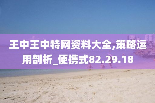 王中王中特网资料大全,策略运用剖析_便携式82.29.18