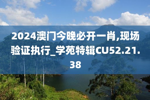 2024澳门今晚必开一肖,现场验证执行_学苑特辑CU52.21.38
