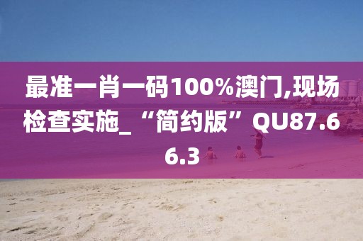 最准一肖一码100%澳门,现场检查实施_“简约版”QU87.66.3