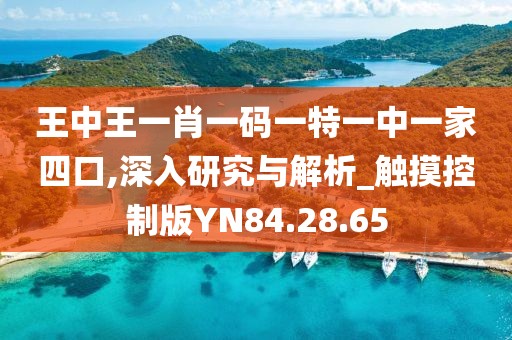 王中王一肖一码一特一中一家四口,深入研究与解析_触摸控制版YN84.28.65