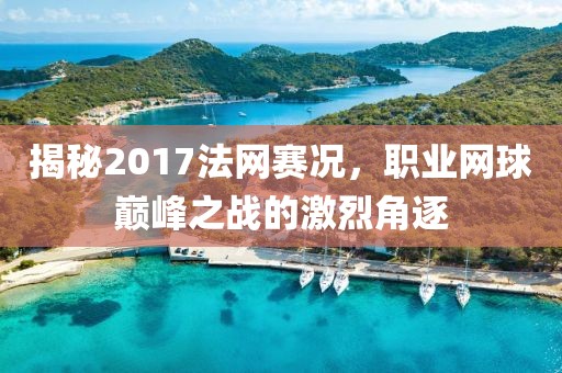 揭秘2017法网赛况，职业网球巅峰之战的激烈角逐