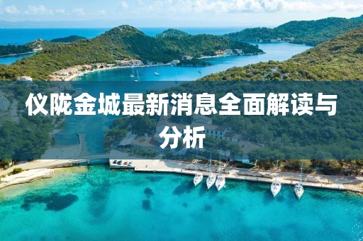 仪陇金城最新消息全面解读与分析