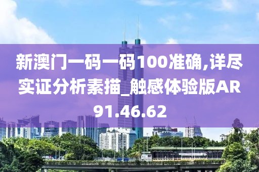 新澳门一码一码100准确,详尽实证分析素描_触感体验版AR91.46.62