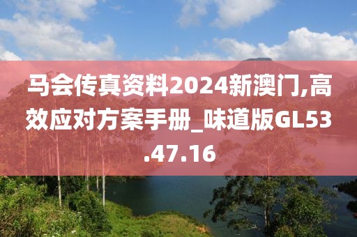 马会传真资料2024新澳门,高效应对方案手册_味道版GL53.47.16