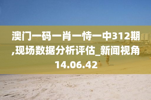 澳门一码一肖一恃一中312期,现场数据分析评估_新闻视角14.06.42
