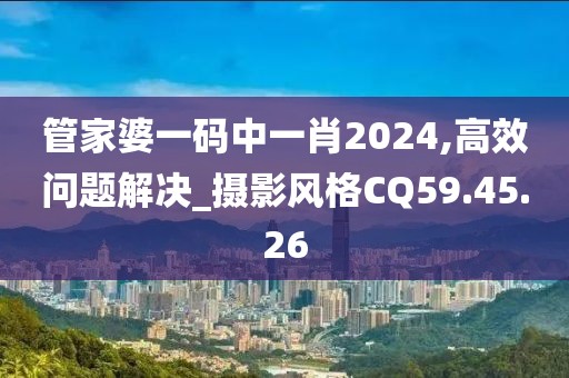 管家婆一码中一肖2024,高效问题解决_摄影风格CQ59.45.26