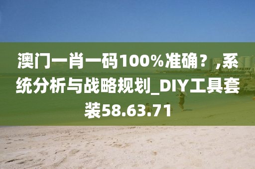 澳门一肖一码100%准确？,系统分析与战略规划_DIY工具套装58.63.71