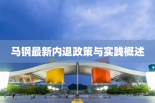马钢最新内退政策与实践概述