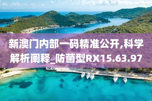 新澳门内部一码精准公开,科学解析阐释_防菌型RX15.63.97